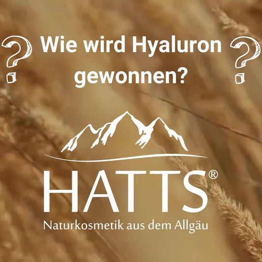 Herkunft des veganen Hyalurons in HATTS Naturkosmetik.