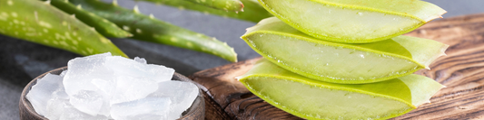 Aloe Vera Gel auf empfindlicher Haut – natürliche Pflege mit beruhigender und feuchtigkeitsspendender Wirkung.